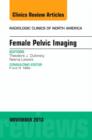 Female Pelvic Imaging, An Issue of Radiologic Clinics of North America : Volume 51-6 - Book