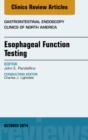 Esophageal Function Testing, An Issue of Gastrointestinal Endoscopy Clinics, E-Book : Esophageal Function Testing, An Issue of Gastrointestinal Endoscopy Clinics, E-Book - eBook