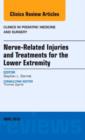 Nerve Related Injuries and Treatments for the Lower Extremity, An Issue of Clinics in Podiatric Medicine and Surgery : Volume 33-2 - Book