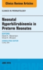 Neonatal Hyperbilirubinemia in Preterm Neonates, An Issue of Clinics in Perinatology - eBook