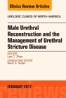 Male Urethral Reconstruction and the Management of Urethral Stricture Disease, An Issue of Urologic Clinics : Volume 44-1 - Book