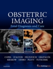 Obstetric Imaging: Fetal Diagnosis and Care E-Book - eBook