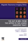 MR Imaging of the Bowel, An Issue of Magnetic Resonance Imaging Clinics of North America, E-Book : MR Imaging of the Bowel, An Issue of Magnetic Resonance Imaging Clinics of North America, E-Book - eBook