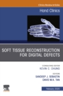 Soft Tissue Reconstruction for Digital Defects, An Issue of Hand Clinics E-Book : Soft Tissue Reconstruction for Digital Defects, An Issue of Hand Clinics E-Book - eBook