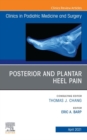Posterior and plantar heel pain, An Issue of Clinics in Podiatric Medicine and Surgery, E-Book - eBook
