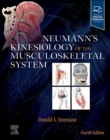 Neumann's Kinesiology of the Musculoskeletal System : Neumann's Kinesiology of the Musculoskeletal System - E-Book - eBook