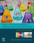 Safety in the Chemical Laboratory and Industry : A Practical Guide - eBook