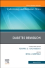 Diabetes Remission, An Issue of Endocrinology and Metabolism Clinics of North America : Volume 52-1 - Book