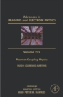 Plasmon Coupling Physics - eBook
