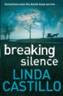 Breaking Silence - Book