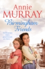 Birmingham Friends - eBook