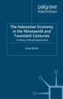 The Indonesian Economy in the Nineteenth and Twentieth Centuries : A History of Missed Opportunities - eBook