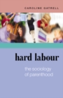 Hard Labour: The Sociology of Parenthood - Book