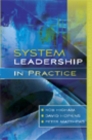 System Leadership in Practice - eBook