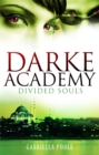 Divided Souls - Book