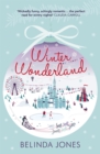Winter Wonderland - Book