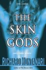 Skin Gods - eBook