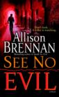 See No Evil - eBook