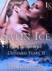 Satin Ice: The Delaneys - eBook