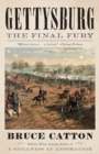 Gettysburg: The Final Fury - Book