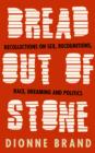 Bread Out of Stone : Recollections on Sex, Recognitions, Race, Dreaming and Politics - eBook