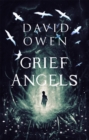 Grief Angels - Book