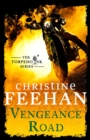 Vengeance Road - Book
