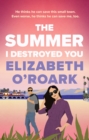 The Summer I Destroyed You - eBook