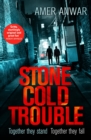 Stone Cold Trouble - eBook