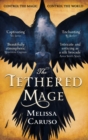 The Tethered Mage - eBook