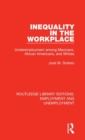 Inequality in the Workplace : Underemployment among Mexicans, African Americans, and Whites - Book