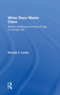 When Race Meets Class : African Americans Coming of Age in a Small City - Book