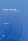 Culture, Class, And Development In Pakistan : The Emergence Of An Industrial Bourgeoisie In Punjab - Book