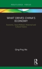 What Drives China’s Economy : Economic, Socio-Political, Historical and Cultural Factors - Book
