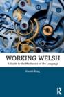Working Welsh : A Guide to the Mechanics of the Language - Book