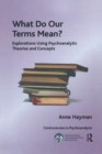 What Do Our Terms Mean? : Explorations Using Psychoanalytic Theories and Concepts - Book