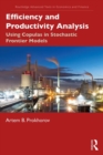Efficiency and Productivity Analysis : Using Copulas in Stochastic Frontier Models - Book