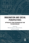 Imagination and Social Perspectives : Approaches from Phenomenology and Psychopathology - Book