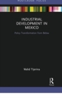 Industrial Development in Mexico : Policy Transformation from Below - Book