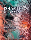 Polymer Glasses - Book