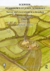 Eckweek, Peasedown St John, Somerset : Survey and Excavations at a Shrunken Medieval Hamlet 1988-90 - Book