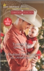 Yuletide Baby and A Husband for Christmas - eBook