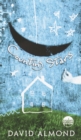 Counting Stars - eBook