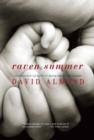 Raven Summer - eBook