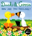 Duck & Goose, How Are You Feeling? - eBook