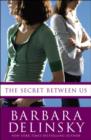 Secret Between Us - eBook