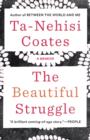 Beautiful Struggle - eBook