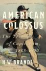 American Colossus - eBook