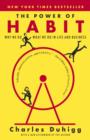 The Power of Habit : Why We Do What We do in Life and Business - eBook
