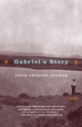 Gabriel's Story : A Novel (Hurston/Wright LEGACY Award) - Book